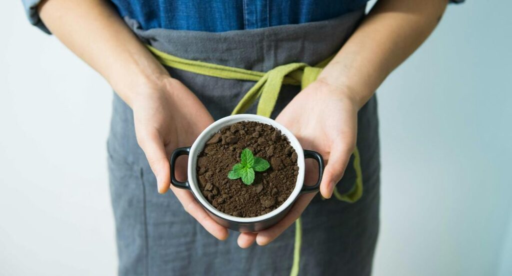 Ekologiczne planowanie podróży